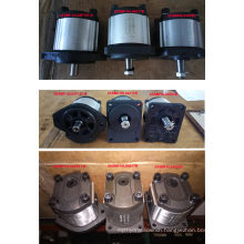 Hydraulic Gear Pump Motor for Hydraulic System